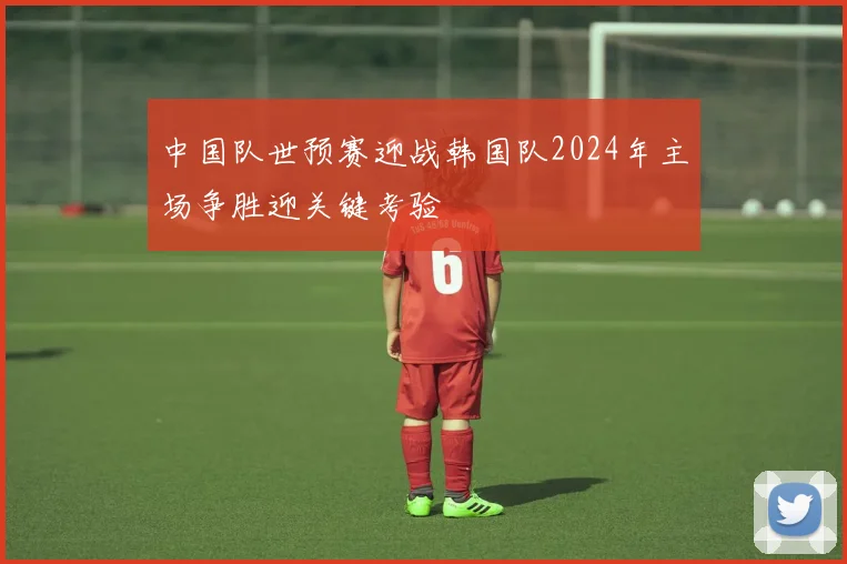 中国队世预赛迎战韩国队2024年主场争胜迎关键考验